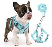 rennaio Dog Harness No Pull, Adjustable Puppy Harness with 2 Lead Clips, Ultra Breathable Padded Dog Vest Harness, Reflective Dog Harness and Lead Set for Small and Medium Dogs (Cyan, S)