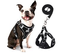 rennaio Dog Harness No Pull, Adjustable Puppy Harness with 2 Lead Clips, Ultra Breathable Padded Dog Vest Harness, Reflective Dog Harness and Lead Set for Small and Medium Dogs (Black, M)