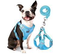 Rennaio Dog Harness No Pull, Adjustable, Ultra Breathable & Lightweight, 360° Reflective, Medium, Cerulean