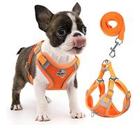 Rennaio Dog Harness No Pull, Adjustable, Ultra Breathable Padded Dog Vest Harness, Reflective, Small & Medium Dogs (Pumpkin)