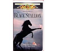 Reno - Black Stallion [VHS] [Import USA]