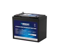 Renogy 100Ah 12V LiFePO4 Lithium Leisure Battery w/Bluetooth, 5000+ Cycles, IP67 and Group 24, Perfect for Trolling Motor, Fishing, Off-Road, Workshop, Shed, RV and Off-grid Use