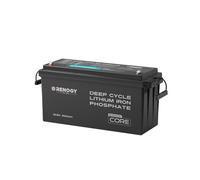 Renogy 200Ah 12V LiFePO4 Battery, Lithium Iron Phosphate Leisure Battery with 5000+ Deep Cycles, Bluetooth, IP 65 200A BMS and Low-Tem Cut off Protection, Support 4S4P Connection for Off Grid System