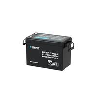 Renogy 200Ah 12V LiFePO4 Battery, Mini Size Lithium Iron Phosphate Leisure Battery with 5000+ Deep Cycles, IP 65 and BMS Protection, Support 4S4P Connection for Caravan, Boat, and Off Grid System