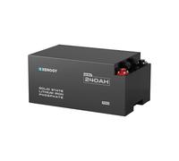 Renogy LiFePO4 Battery 240Ah 12V, Lithium Iron Phosphate Leisure Battery with Fire-Retardant Casing, 6000+ Deep Cycles, IP 67, Bluetooth, CAN and 60 BMS Protections for Caravan and Off Grid System