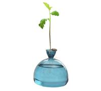 Renopfect Avocado Vase Glass, Avocado Seed Vase, Germination Jar for Avocado, Transparent Avocado Seed Starter Planter Vase, Clear Sprout Planter, Avocado Container, Glass Avocado Tree Flower Vases