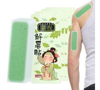 Renopfect Cooling Plasters for Hot Days - Cooling Instant Cold Compresses | Sports Supplies for Mountaineering Camping Summer Sunburn Heat Work and Travel