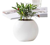 Renopfect Indoor Plant Pots, Planter Pots for Outdoor Plants, Automatic Watering of Pots, Ball Shaped Lazy Flower Container for Succulents, Violets, Ivy