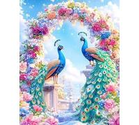 Renqidian 5D Diamond Painting Kits Two Peacocks DIY Diamond Art Picture Adults Beginners Crystal Arts and Crafts for Home Wall Decor(40x50 cm)