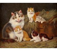 Renqidian Pre Printed Cross Stitch Kits Animal cat 11CT Stamped Beginners Embroidery Kit for Living Room Bedroom Art Decoration （40x50 cm）