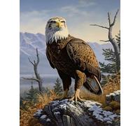 Renqidian Pre Printed Cross Stitch Kits Eagle 11CT Stamped Embroidery Kit DIY Needlework Art for Adults Beginners Home Decor（40x50 cm）