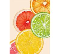 Renqidian Stamped Cross Stitch Kits for Adults Colorful Lemon Slices 11CT Beginner Embroidery Kit DIY Advanced Handmade Crafts Home Decor (40x50 cm)