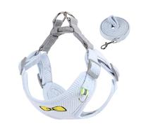 renvena Cute Corduroy Dog Cat Harness and Leash Set Vest Style No-Pull Adjustable Double D-Rings for Secure Walk Sky Blue XL