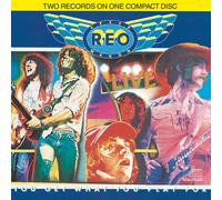 Reo Speedwagon - Live You Get What You Play For