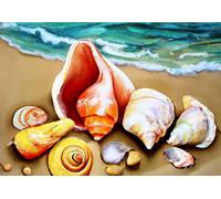 Reofrey 5D Diamond Painting Kits for Adults Seashells and Beaches in Summer Full Drill, Paint with Diamonds Art Rhinestone Embroidery Cross Stitch Craft Decor (30x40 cm/ 12x16 inch)