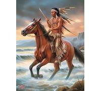 Reofrey Diamond Painting Accessories Indians DIY Diamond Art Kits, Horses 5D Diamond Painting Kits for Adults Cross Stitch, Full Drill Round Crystal Embroidery for Craft Home Wall Decor 30x40cm