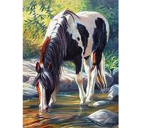 Reofrey DIY Diamond Painting Kits for AdultsHorse, Diamond Art Animals Full Drill Round Rhinestone Diamond Painting Accessories, Cross Stitch Embroidery Canvas for Crafts Home Wall Decor 30x40cm