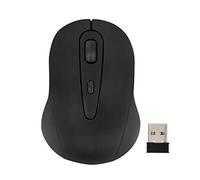 REOLINK Wireless Mouse with USB Nano Receiver, Works 8-Channel/16Channel NVR