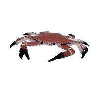 Rep Pals - Stretchy Crab Toy by Deluxebase. Animal Shaped Squishy Sensory Fidget Toys, Stress Relief Squeeze Figure, Soft Flexible Rubber, Fun Fantasy Gift for Kids