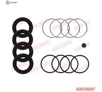 QUICK BRAKE 114-0099 Repair Kit, brake caliper