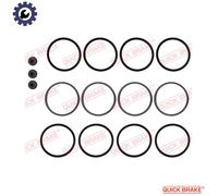 QUICK BRAKE 114-0179 Repair Kit, brake caliper