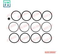 QUICK BRAKE 114-0197 Repair Kit, brake caliper
