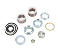 Repair Kit for 7900 GH200 and 7900 Airless Paint Sprayer Complete Seal Replacement