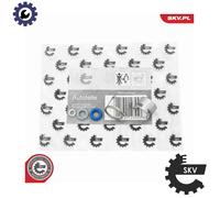 Injector repair kit 53SKV295 ESEN SKV for VW AUDI SEAT SKODA