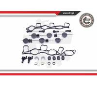 Repair Kit, intake manifold module 49SKV500 ESEN SKV for AUDI VW