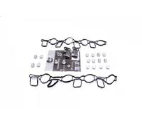 Repair Kit, intake manifold module 49SKV519 ESEN SKV for AUDI VW PORSCHE