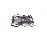 Repair Kit, intake manifold module 49SKV523 ESEN SKV for PORSCHE VW AUDI