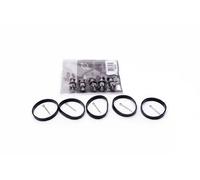 Repair Kit, intake manifold module 49SKV524 ESEN SKV for MERCEDES-BENZ E-CLASS
