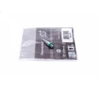 Repair Kit, intake manifold module 49SKV548 ESEN SKV for BMW 1 Sports Hatch 5 3