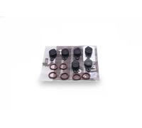 Repair Kit, intake manifold module 49SKV559 ESEN SKV