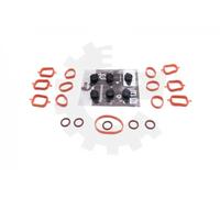 Repair Kit, intake manifold module 49SKV562 ESEN SKV