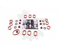 Repair Kit, intake manifold module 49SKV568 ESEN SKV
