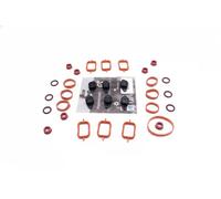 Repair Kit, intake manifold module 49SKV569 ESEN SKV