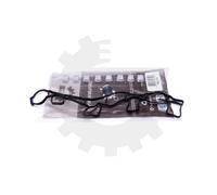 Repair Kit, Intake Manifold Module Skv for Motor VAG 2.0 Tdi Cr 2008-2014 With