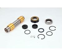 Repair Kit, kingpi LEMA 807 for RENAULT TRUCKS MASCOTT Van 3 2004-2010