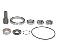 Repair Kit, manual transmission LUK 462 0400 10 for LOGAN (LS_) 1 2011-2012