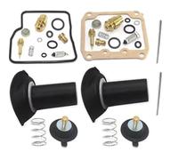 Repair kit Motorcycle Carburetor Repair Kit Fuel System Float Plunger Diaphragm For Suzuki VS1400 VS800 VS800GL VZ800 VZ 800 VS 1400(Style 4)