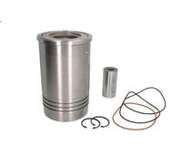 Repair Kit, piston/cylinder liner KOLBENSCHMIDT 41479960 for HD 8 12.882 2005-