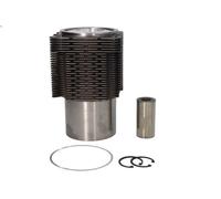 Repair Kit, piston/cylinder liner KOLBENSCHMIDT 90669963 for DX 4.086 1980-1984