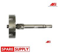 REPAIR KIT, STARTER AS-PL SG3004