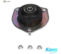 KAVO PARTS SSM-10166 Repair kit, suspension strut