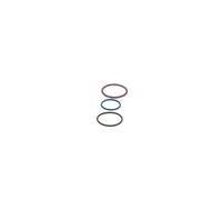 Repair Kit, unit injector BOSCH F00VX99999