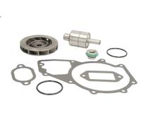 DT Spare Parts 4.90042 Repair Kit, water pump
