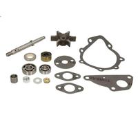 Repair Kit, water pump OMP 202.033 for NEW HOLLAND M 7.485 1996-1999