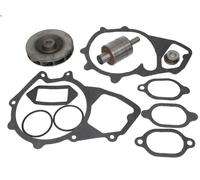 THERMOTEC WP-MN118RK Repair Kit, water pump