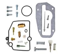 Repair Part For TTR 250 TT250R 1994 1995 1996-2006 Carburetor Rebuild Kit Pump Diaphragm & Float TTR250 Carb Repair Parts(Repair kit)